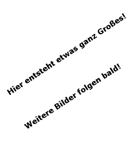 Weitere Bilder folgen bald!